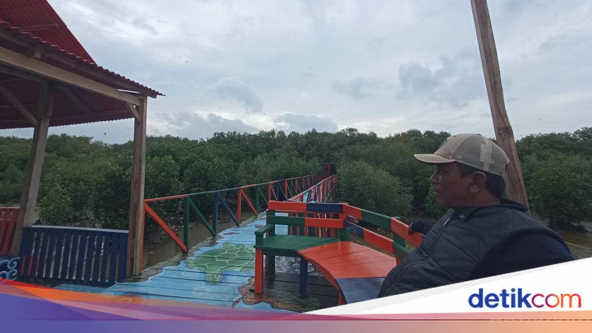 Wisata Mangrove Desa Mundu Pesisir, Destinasi Ngabuburit yang Menenangkan